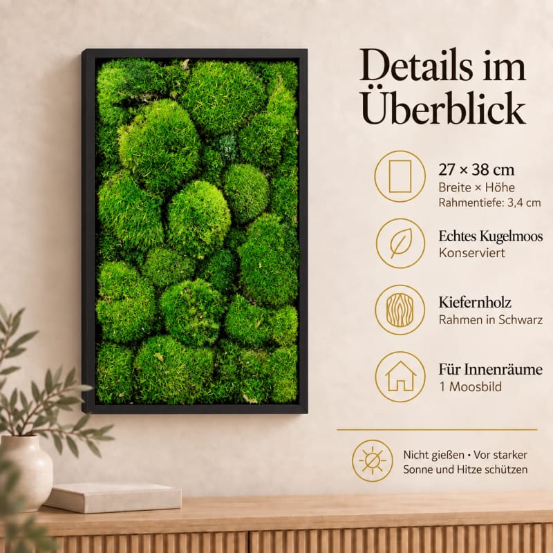 HAGO24 Moosbild Grün mit schwarzem Rahmen Kiefernholz Wandbild Mooswandbild Wanddekoration Echtes konserviertes Kugelmoos Rechteck 27 x 38 cm Aufhängung auf der Rückseite – Bild 4
