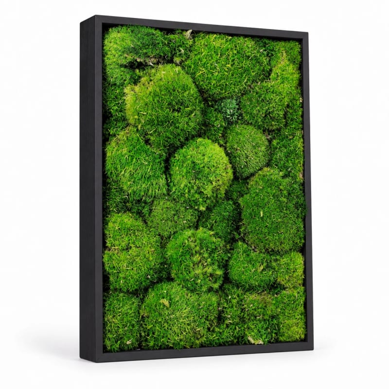 HAGO24 Moosbild Grün mit schwarzem Rahmen Kiefernholz Wandbild Mooswandbild Wanddekoration Echtes konserviertes Kugelmoos Rechteck 27 x 38 cm Aufhängung auf der Rückseite – Bild 2