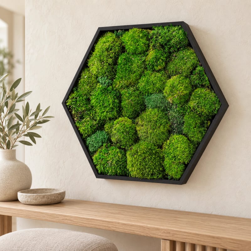 HAGO24 Hexagon Moosbild Grün Kiefernholz Wandbild Mooswand Wanddekoration echtes konserviertes Kugelmoos sechseckige Form Aufhängung Unikat