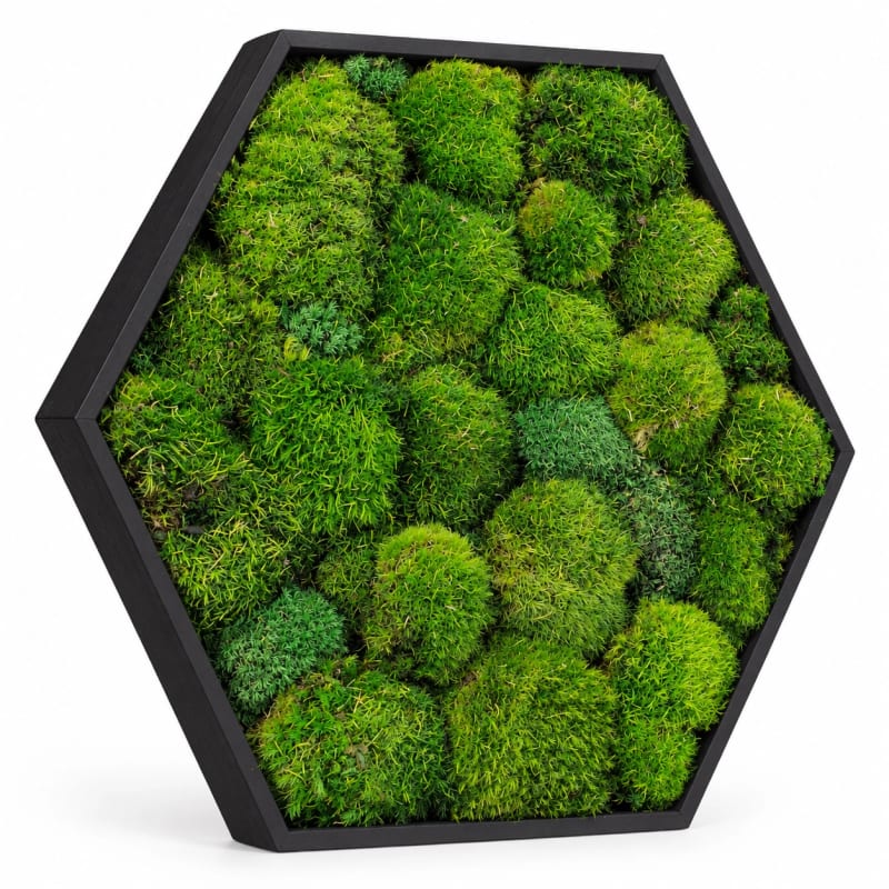 HAGO24 Hexagon Moosbild Grün Kiefernholz Wandbild Mooswand Wanddekoration echtes konserviertes Kugelmoos sechseckige Form Aufhängung Unikat – Bild 2