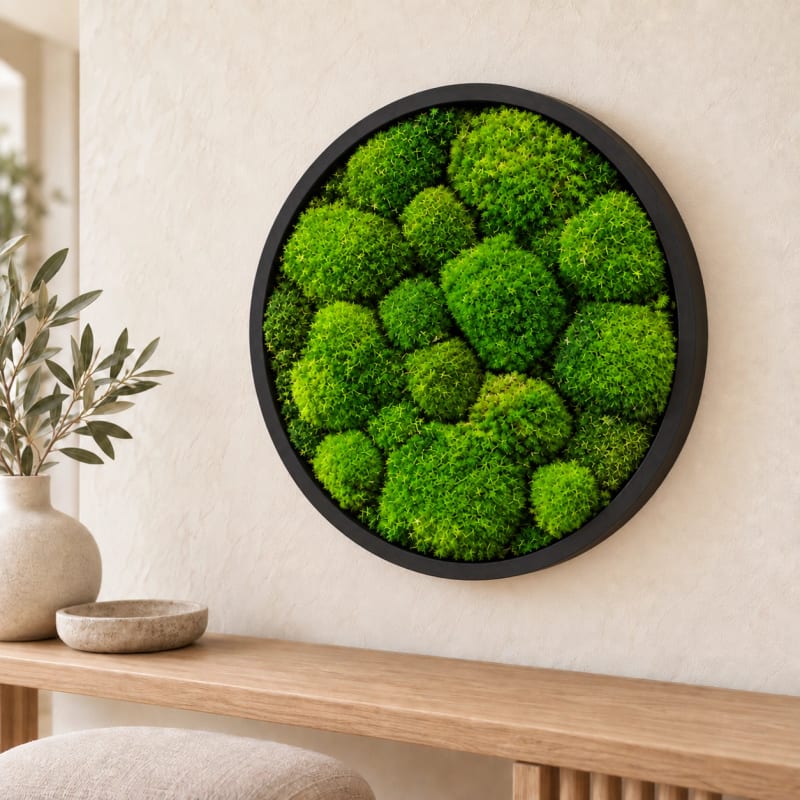 HAGO24 Moosbild Grün Kiefernholz Wandbild Mooswand Wanddekoration echtes konserviertes Kugelmoos rund Aufhängung an der Rückseite – Ø40cm – Bild 1
