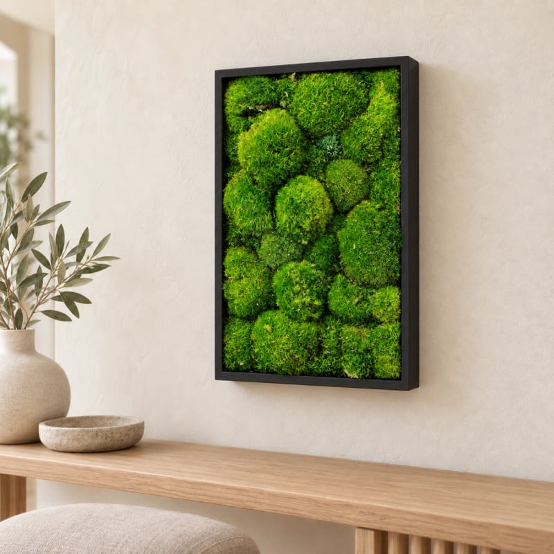 HAGO24 Moosbild Grün mit schwarzem Rahmen Kiefernholz Wandbild Mooswandbild Wanddekoration Echtes konserviertes Kugelmoos Rechteck 27 x 38 cm Aufhängung auf der Rückseite