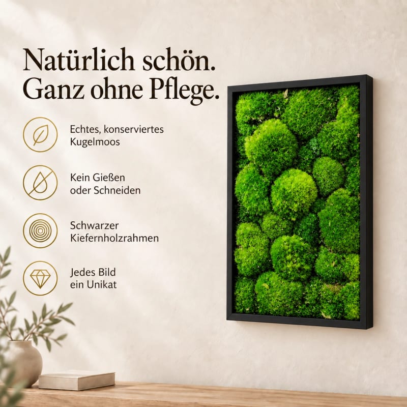 HAGO24 Moosbild Grün mit schwarzem Rahmen Kiefernholz Wandbild Mooswandbild Wanddekoration Echtes konserviertes Kugelmoos Rechteck 27 x 38 cm Aufhängung auf der Rückseite – Bild 3