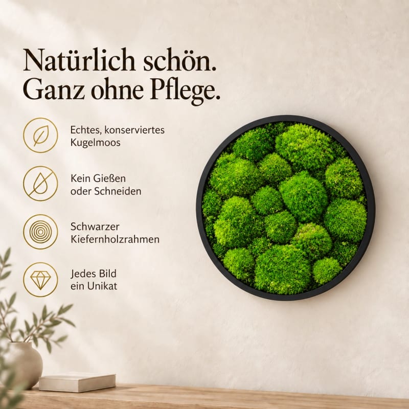 HAGO24 Moosbild Grün Kiefernholz Wandbild Mooswand Wanddekoration echtes konserviertes Kugelmoos rund Aufhängung an der Rückseite – Ø40cm – Bild 3