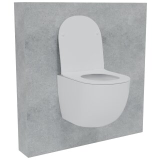 HAGO24 Hänge WC Spülrandlos Tornadospülung Softclose Duroplast WC Sitz Lotuseffekt Keramik Wandhängend Abnehmbar Kurzausführung Weiß Kurz 49cm