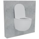 HAGO24 Hänge WC Spülrandlos Tornadospülung...