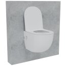 HAGO24 2in1 Hänge WC Bidet Tornadospülung...