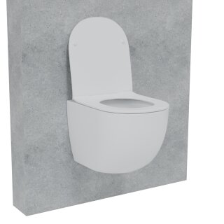 HAGO24 Hänge WC Spülrandlos Tornadospülung Softclose Duroplast WC Sitz Lotuseffekt Keramik Wandhängend Abnehmbar Kurzausführung Weiß Lang 54cm