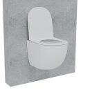 HAGO24 Hänge WC Spülrandlos Tornadospülung...