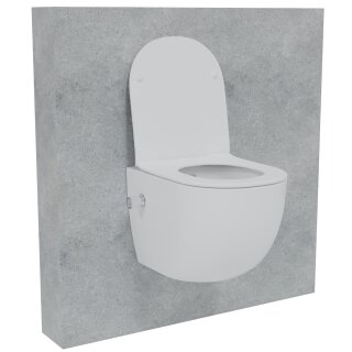 HAGO24 2in1 Hänge WC Bidet Tornadospülung Spülrandlos Softclose Duroplast WC Sitz Lang Lotuseffekt Abnehmbar Keramik Kurzausführung Weiß 54cm