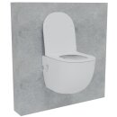 HAGO24 2in1 Hänge WC Bidet Tornadospülung...